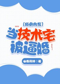 《当技术宅被逼婚》