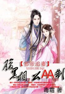 邪帝追妻:腹黑相公AA制